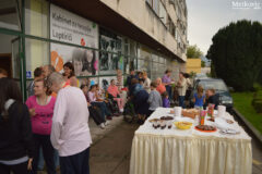 Udruga Leptirići