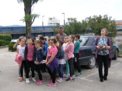 Ornitološka udruga Brkata sjenica