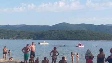 Dupin na plaži u Kleku