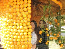 Dani mandarina - Srednja poljiprivredna i tehnička škola Opuzen (5)
