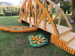 Dani mandarina - Srednja poljiprivredna i tehnička škola Opuzen (6)