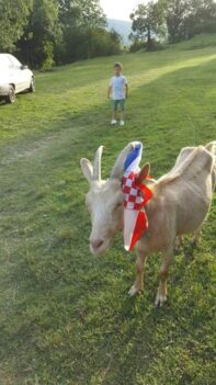 Foto - Milica Vrankić 2
