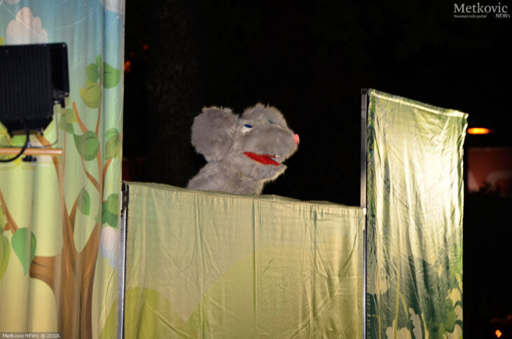 Festival životinjskog carstva (8)