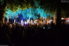 Koncert, Mia Dimšić (15)