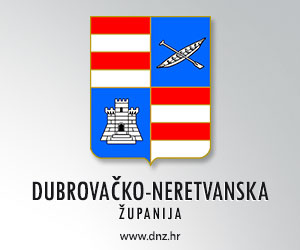 DNŽ 300×250