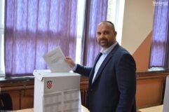 Dalibor Milan, glasanje, biračko pravo, izbori za EU Parlament