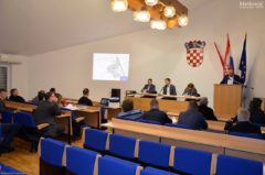 Gradsko vijeće Grada Metkovića, Dalibor Milan