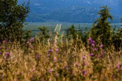 pogled na Neretvu2