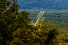 pogled na Neretvu3