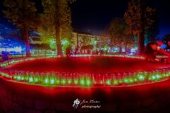 Gradski park, Svijeće, Metković za Vukovar i Škabrnju (2)