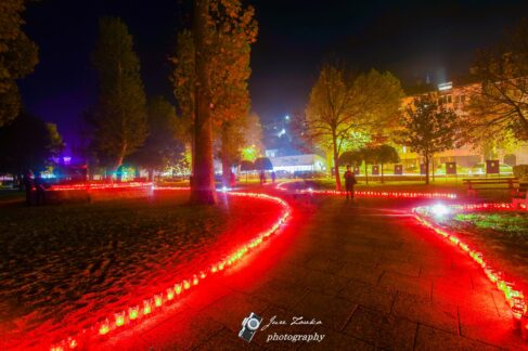 Gradski park, Svijeće, Metković za Vukovar i Škabrnju (5)