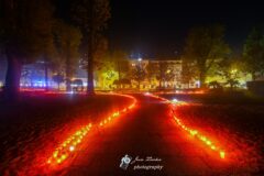 Gradski park, Svijeće, Metković za Vukovar i Škabrnju (6)