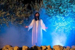 Uprizorenje Muke Gospodinove - Borovci