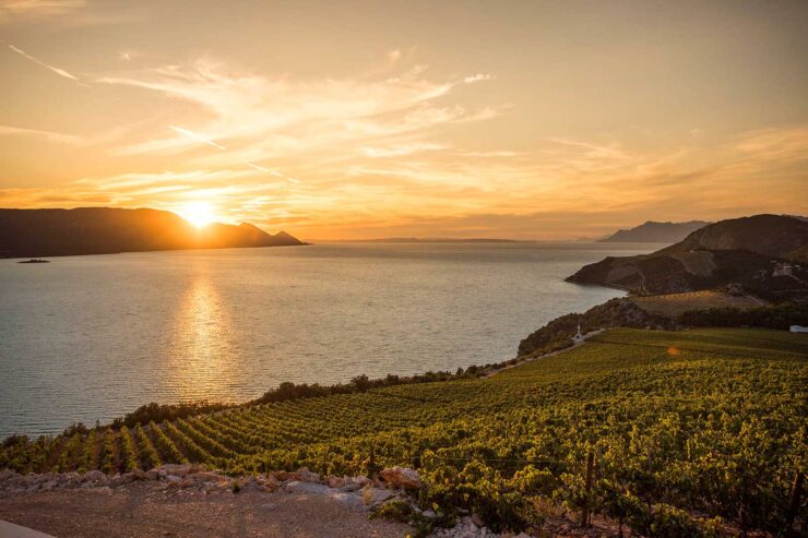 Vinarija Terra Madre