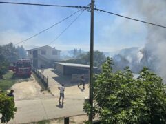 Požar Gabela Polje (2)