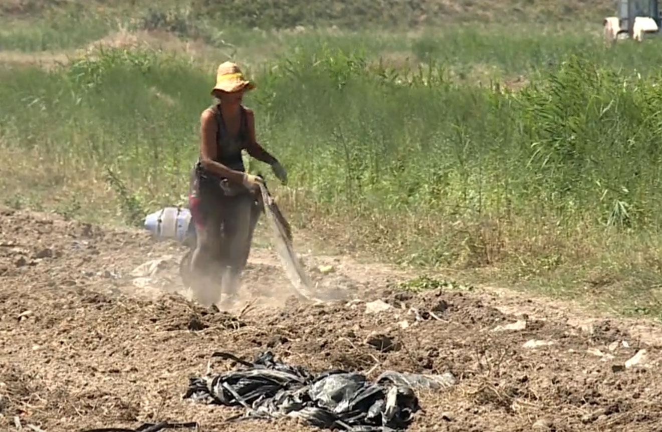 poljoprivreda