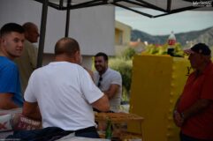 Taslak doo
