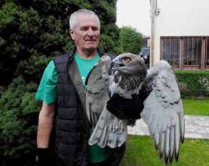 Bariša Ilić, OD Brkata sjenica i Orao zmijar Circaetus gallicus (1)