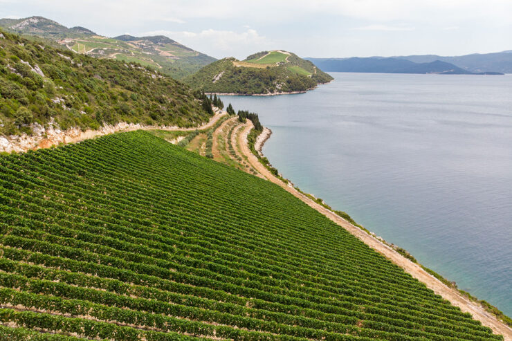 Vinogorje Deak Vinogorje Deak