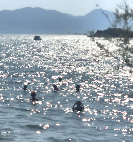 more, plaža, Blace