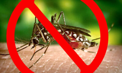 dezinsekcija komaraca