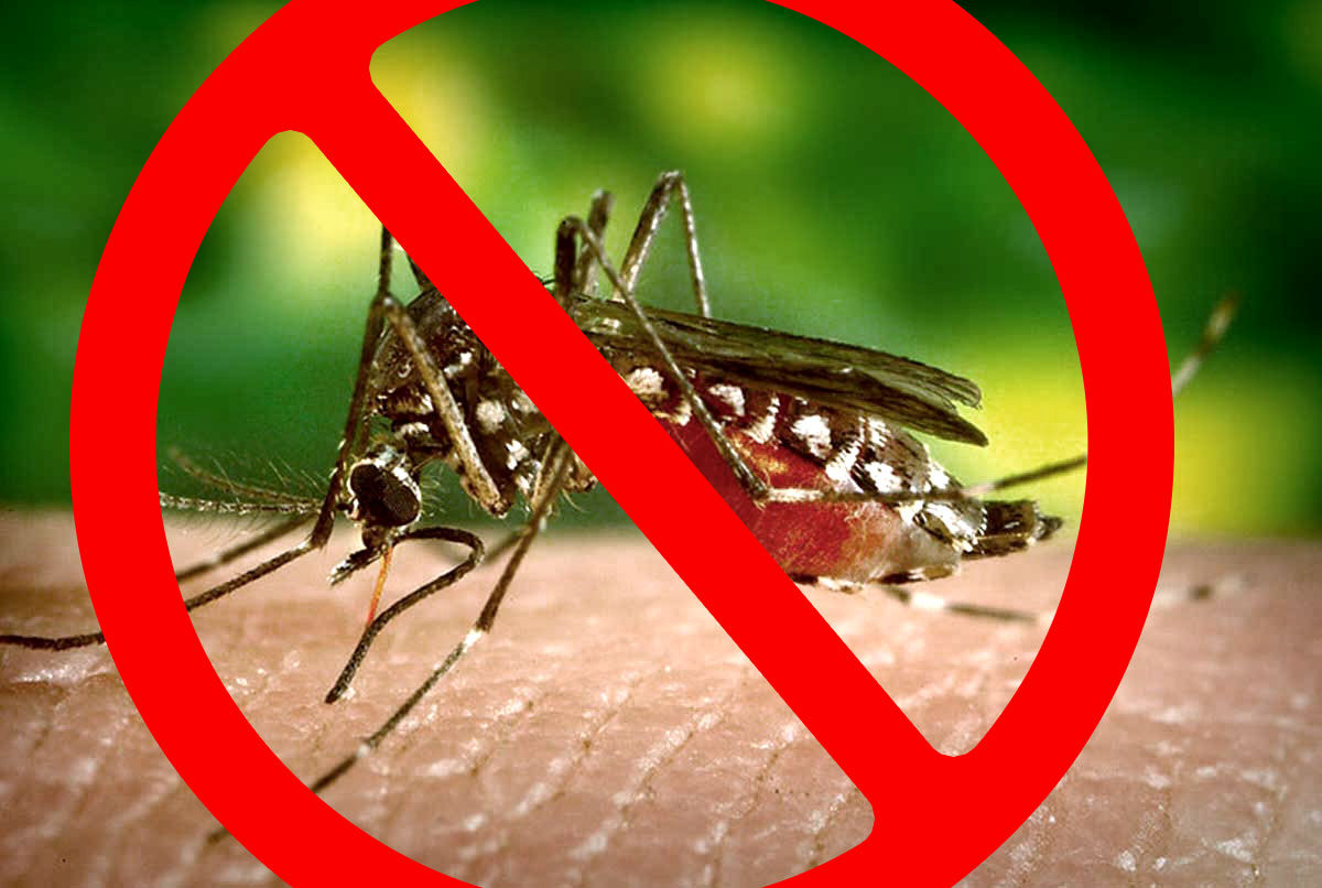 dezinsekcija komaraca