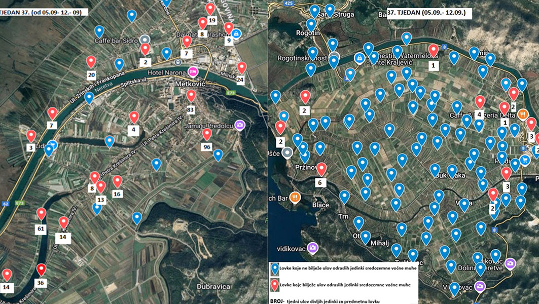 Slika 1/2. Broj ulovljenih jedinki na području gradova Metkovića i Opuzena – Ušće