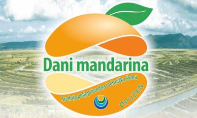 Dani mandarina