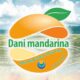 Dani mandarina