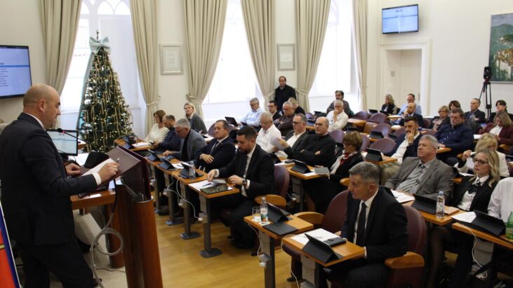 Županijska skupština DNŽ 1