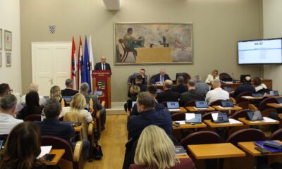 Županijska skupština DNŽ