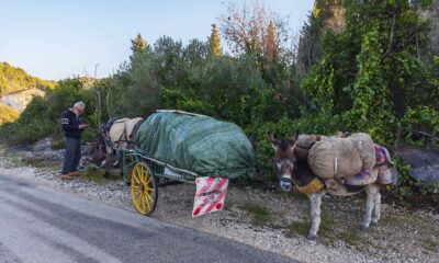 Business Suite creation 2713023605717208