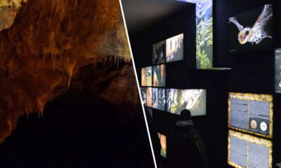 Jama u Predolcu i Prirodoslovni muzej Metković