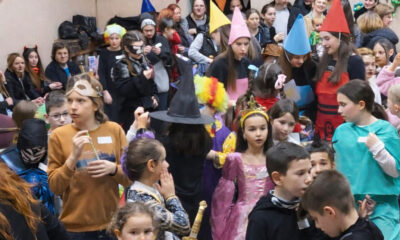 Male mačkare u Krvavcu