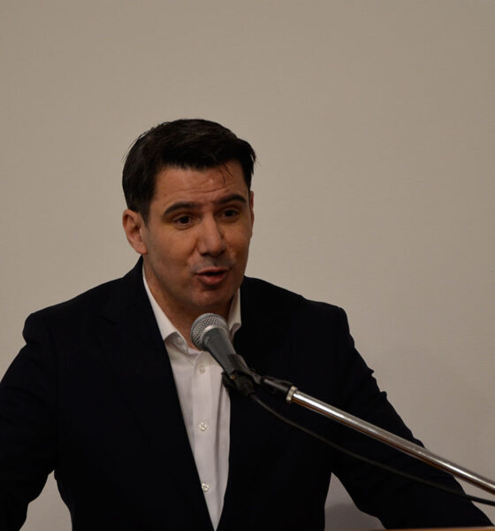 Nikola Grmoja, Gradsko vijeće Grada Metkovića