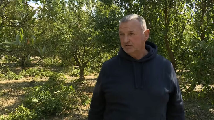 Goran Butigan