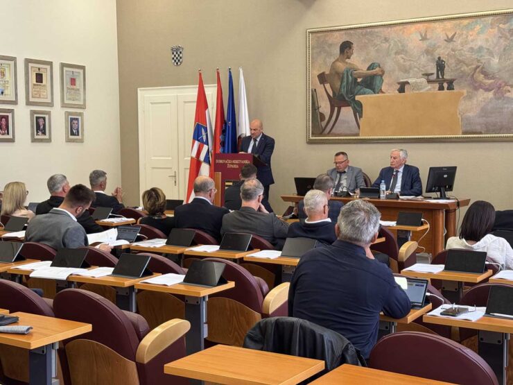 Županijska skupština DNŽ (2)