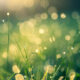 green economy