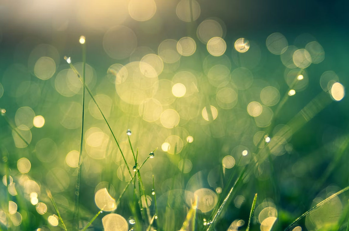 green economy