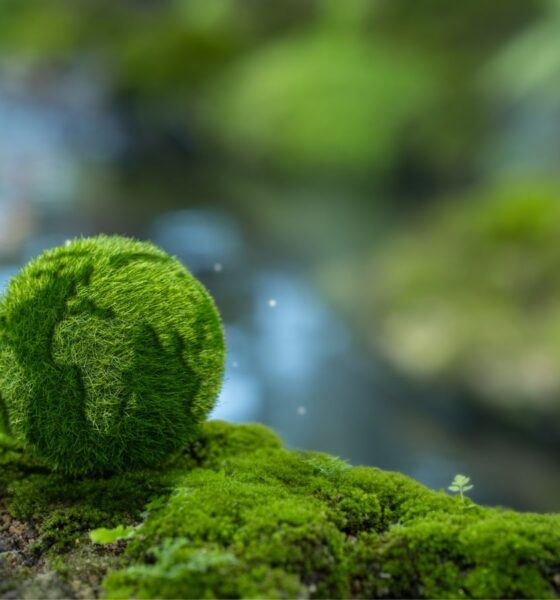 header 1 png