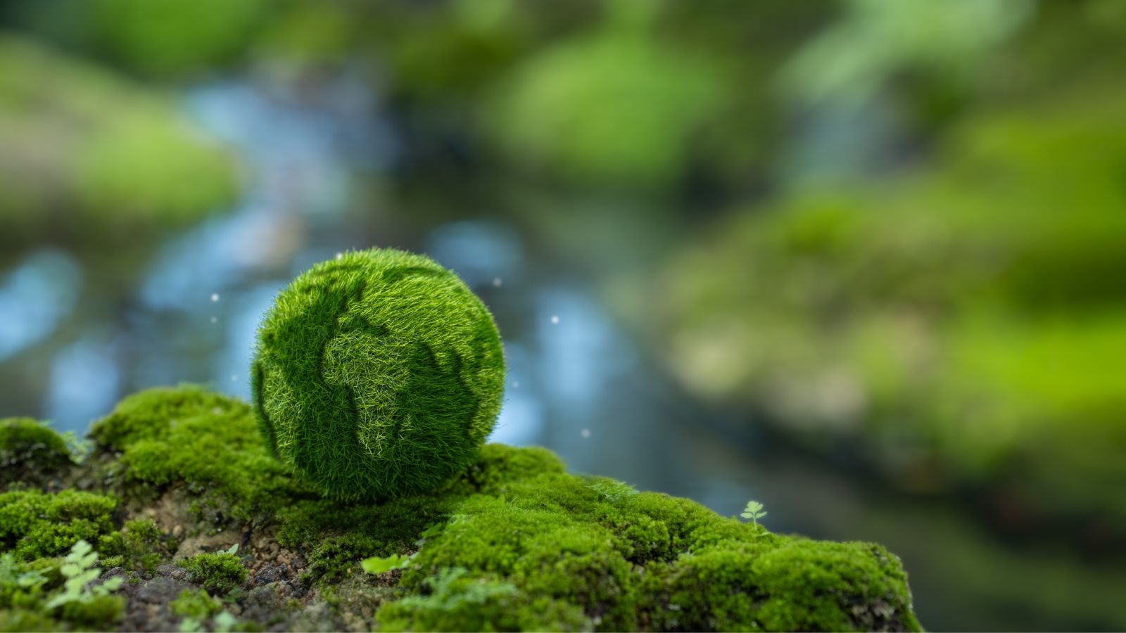 header 1 png