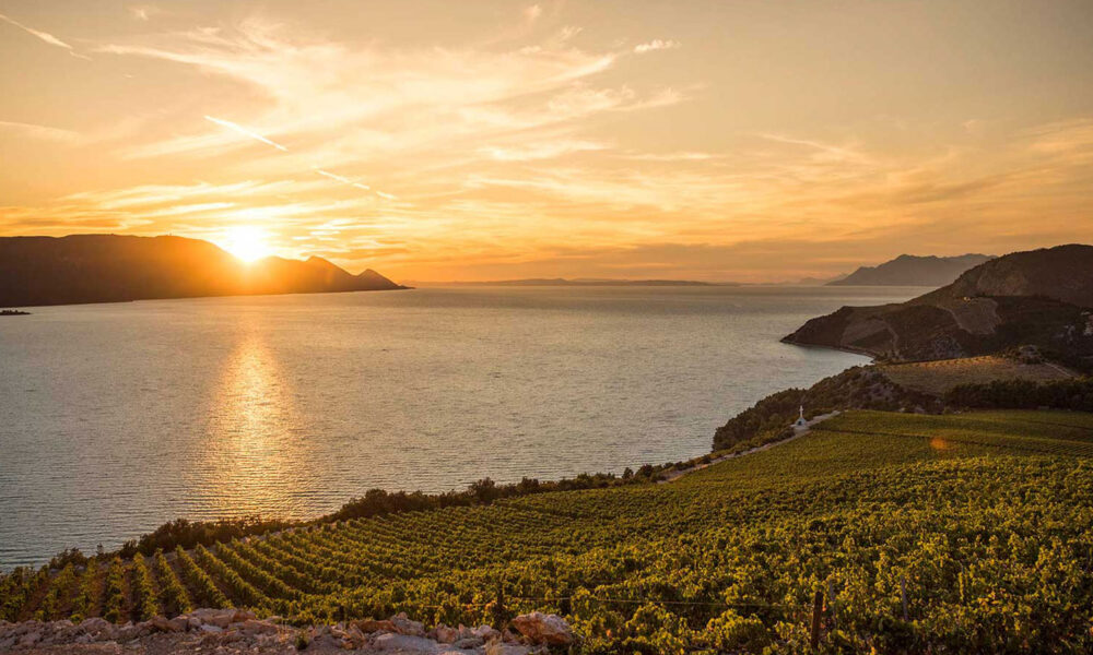 Vinarija Terra Madre Komarna